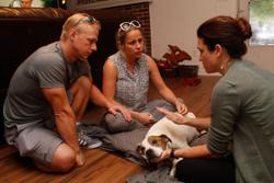 National pet hospice network resumes in-home care