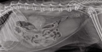 radiology1110_fig1-693003-1384222346744.jpg