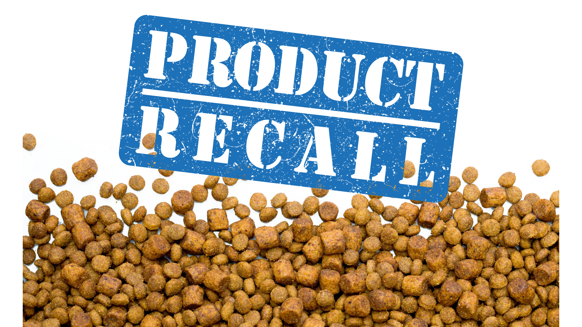 Certain US states issue voluntary recall of dry dog food Certain US states issue voluntary recall of dry dog food