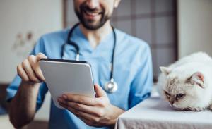 Telehealth: More than a pandemic stop-gap