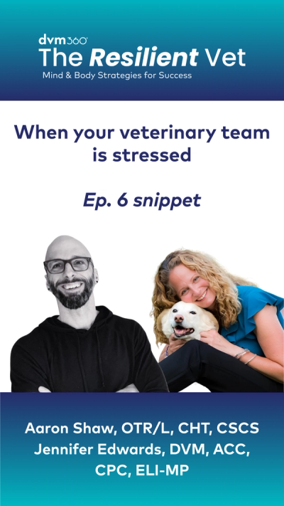 When your veterinary team is stressed