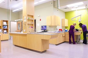 13_Finan-Animal-Hospital_Treatment3_450.jpg