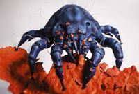 veterinary_dust_mite_754926-700253-1384211860597.jpg