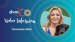 Bringing relief veterinarians to the practice team