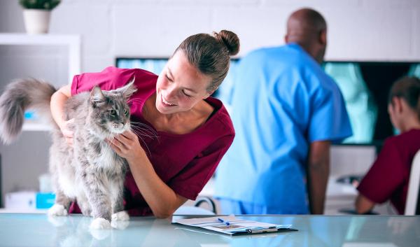 Lemonade expands pet insurance to Kentucky as affordability challenges persist
