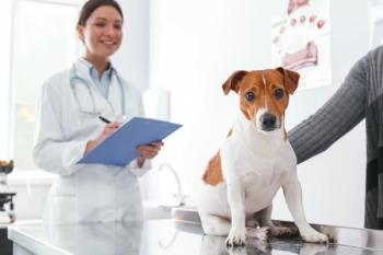 Study of purebred and mixed-breed dog conditions