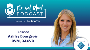  5 common client mistakes that can be avoided with the pruritic patient