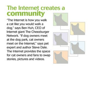 veterinary-cats-internet-3-450-840983-1404210247176.jpg