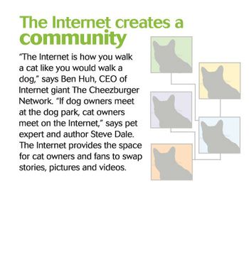 veterinary-cats-internet-3-450-840983-1404210247176.jpg