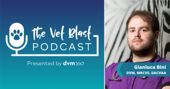 The Vet Blast Podcast