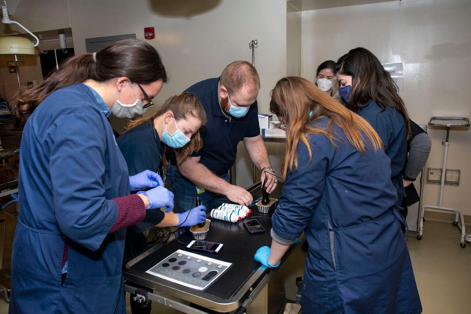 Butterfly Network partners with Purdue University College of Veterinary Medicine to expand ultrasound education