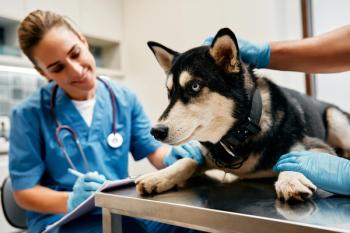 Veterinary visit