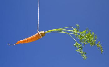 veterinary-carrot-string-bait-AdobeStock-4505820-450px.jpg