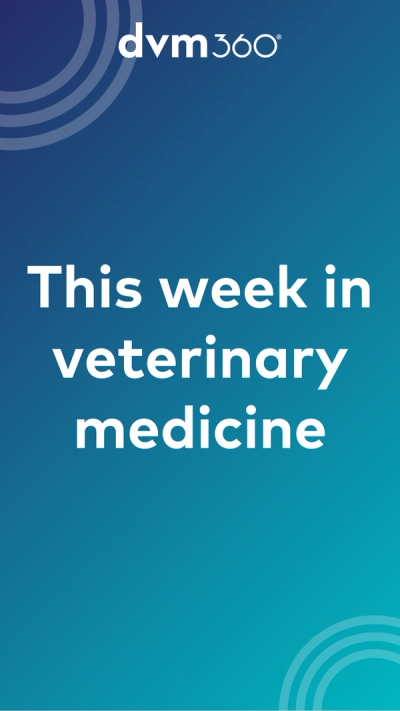 This week in veterinary medicine
