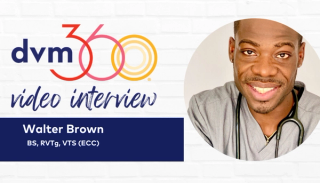 Kicking off National Veterinary Technician Week with Walter Brown, BS, RVTg, VTS (ECC)