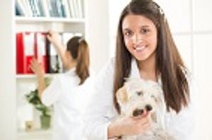 International Paths to Veterinary Education
