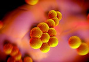The Biggest Risk Factor for MRSA Carriage Among Veterinary Workers
