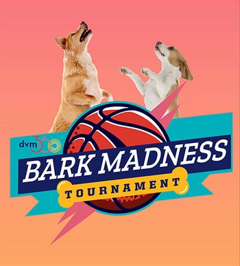 bark-madness-450.jpg