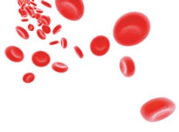 veterinary_blood_cells-783551-1384158397469.jpg