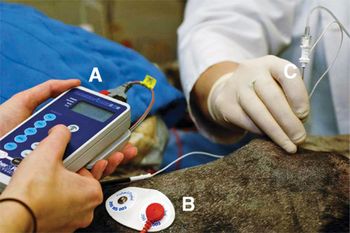 Sidebar-Nerve-locator-Fig-1-591544-1384517108672.jpg