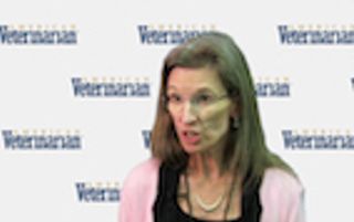 Rehabilitation with Chronic Pain and Neurological Disorders 