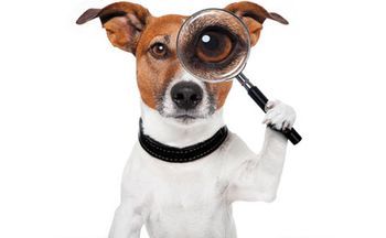 ear-detective-450.jpg
