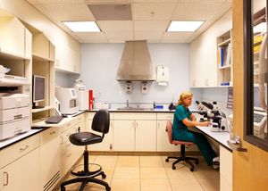Veterinary_Coral-Springs-Animal-Hospital_labspace_450.jpg