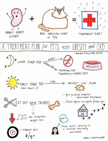 ClineDoodle_9941479502335629.jpg