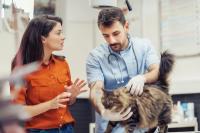 Veterinarian and cat owner