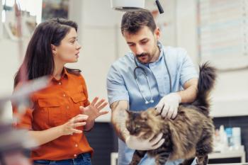 Veterinarian and cat owner
