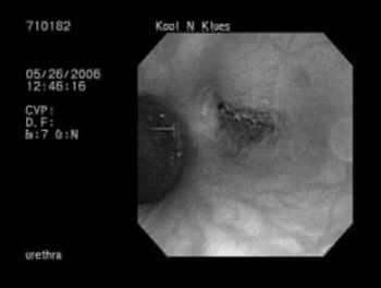 i4-835050-1404213743445.jpg