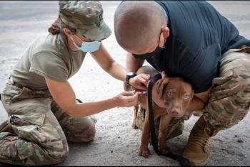 CPT Kelly Willard, DVM
