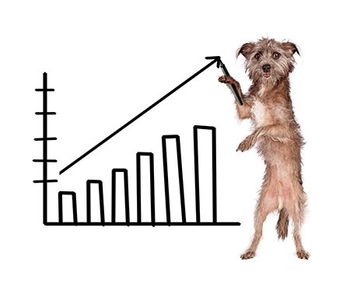 veterinary-dog-presentation-AdobeStock_93962388-450.jpg