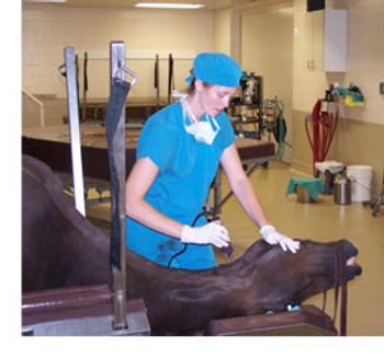 fair_prepping_crop-765516-1384164739379.jpg