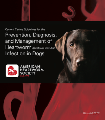 heartworm society treatment