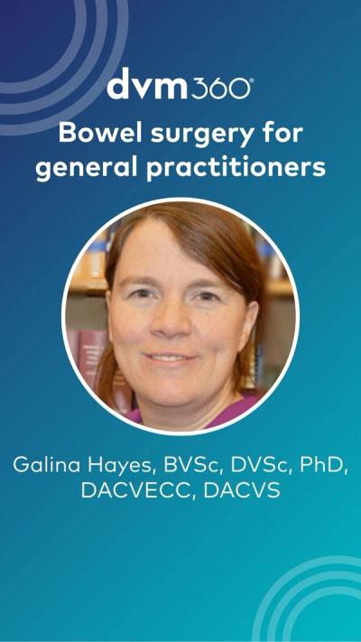 Bowel surgery for general practitioners