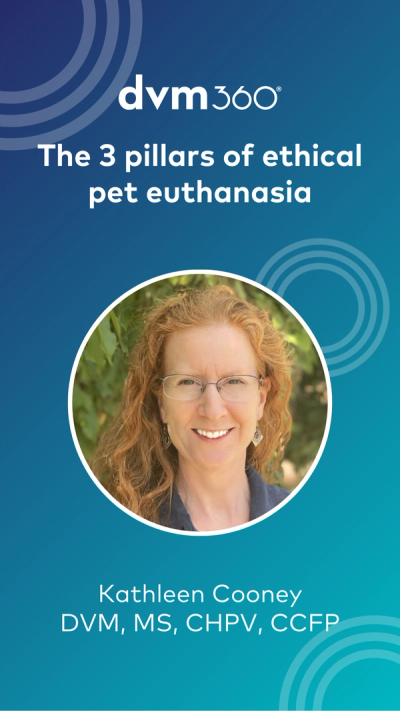 The 3 pillars of ethical pet euthanasia