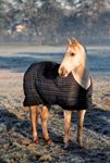 veterinary_horse_coat_0311-710863-1384194437934.jpg