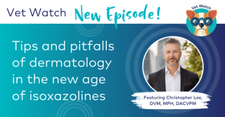 Vet Watch: Tips and pitfalls of dermatology in the new age of isoxazolines