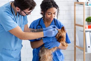 Veterinary technician