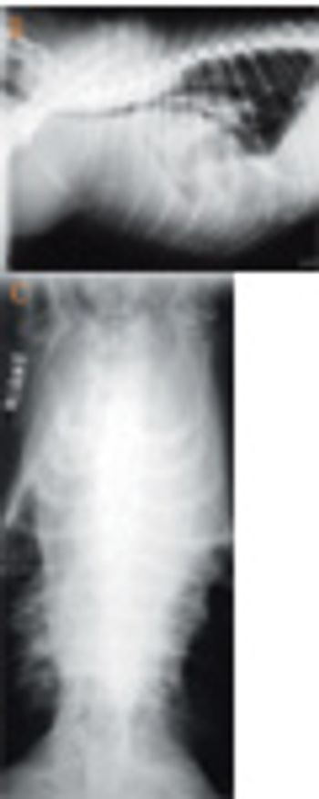 i8_t-425683-1384753540056.jpg