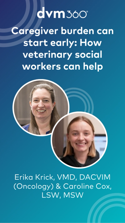 Caregiver burden can start early: How veterinary social workers can help