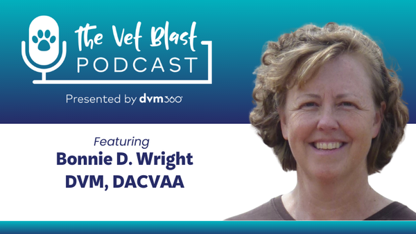 Advancing pain management through integrative and multimodal approaches