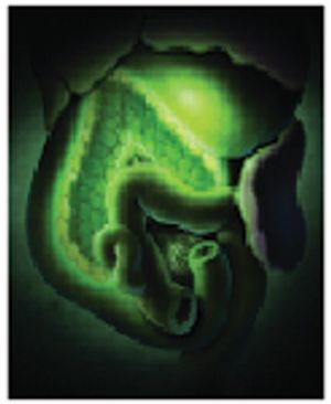 i1-313759-1384765563648.jpg