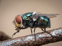 Photo: die/Adobe Stock