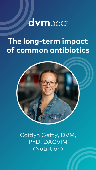 The long-term impact of common antibiotics