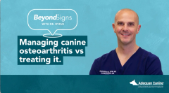Managing canine osteoarthritis vs treating it