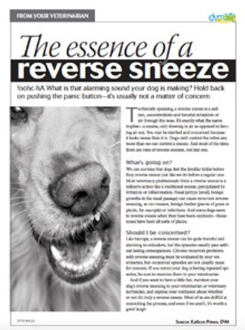 reverse_sneeze-handout_2201471992855344.jpg