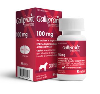 veterinary-GALLIPRANT-450.jpg