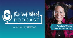 30 years in veterinary dermatology with Patricia White